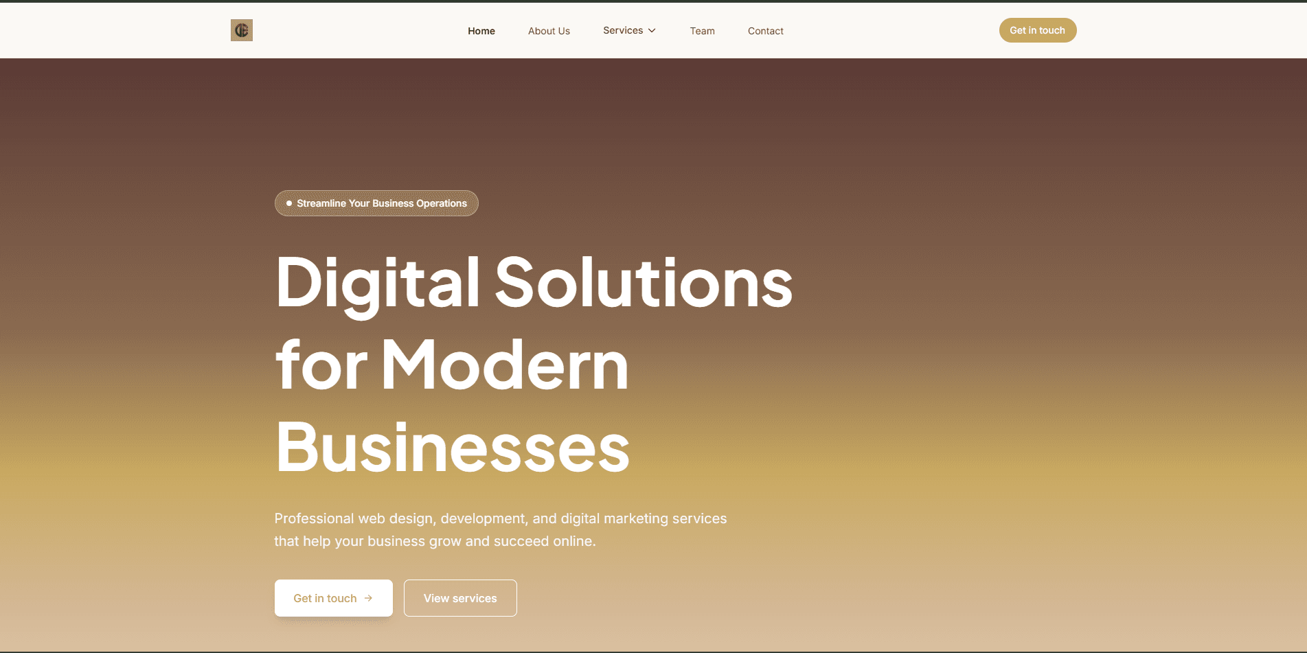 Digital Equity Website screenshot